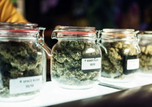 Jars of Cannabis on Shelf