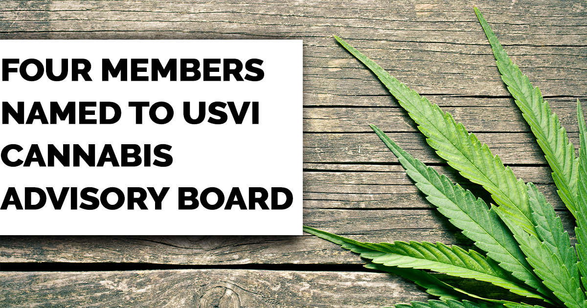 Four Members Named To USVI Cannabis Advisory Board VIBE HIGH
