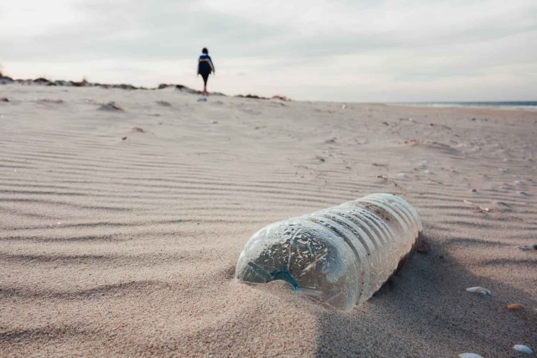 Plastic Bottle on Beach