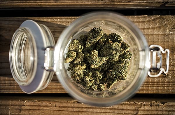 Jar Full of Cannabis inside Dispensary