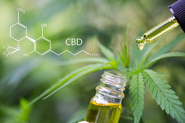 CBD Oil with Hemp Plant