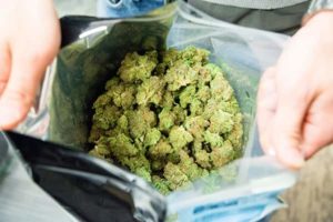 Cannabis in dispensary bag