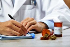 Doctor Writing a Medical Cannabis Prescription