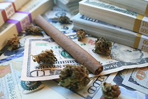 Cannabis with piles of cash.